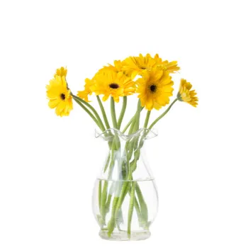 Yellow Gebera Flower